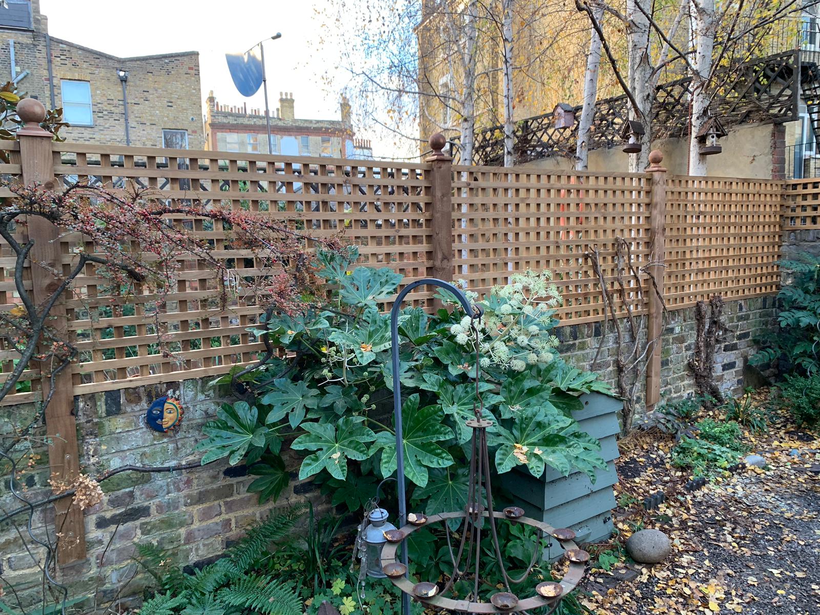 North Londons Best Quality Garden Trellis Company Hertfordshire Essex