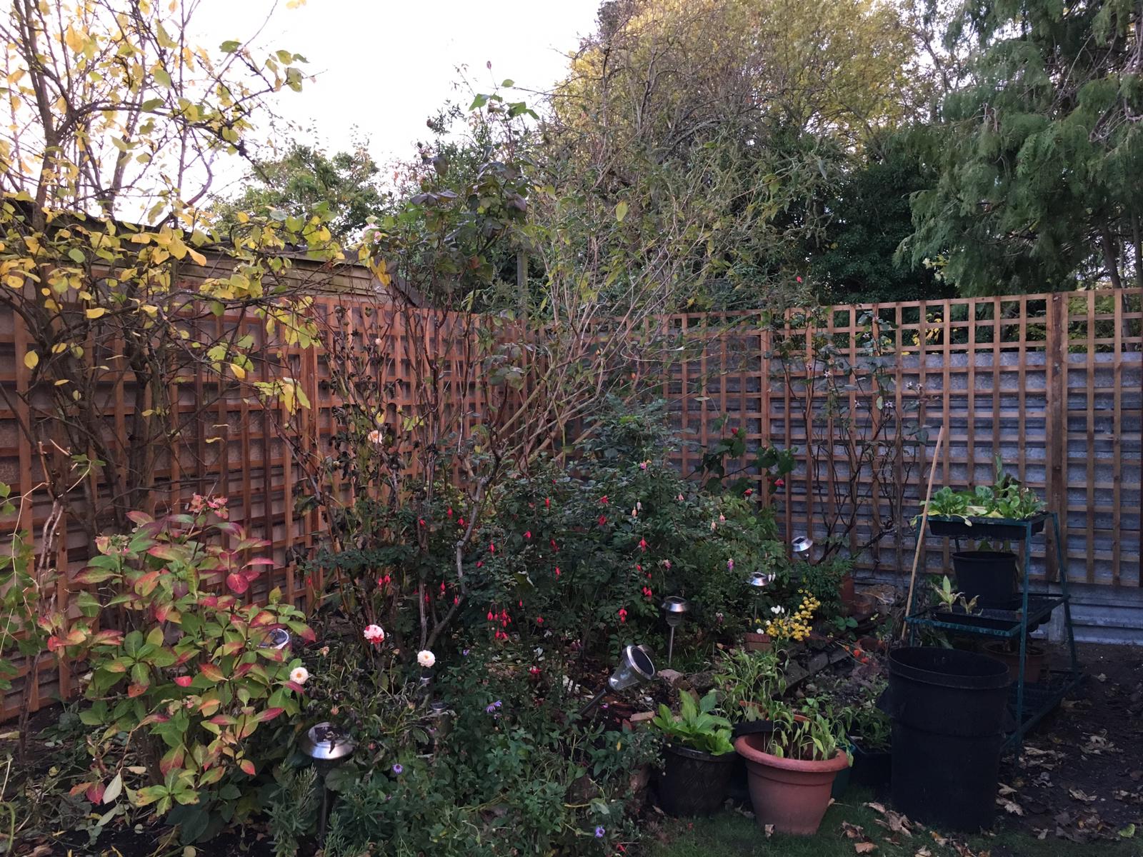 Garden Trellis installers London