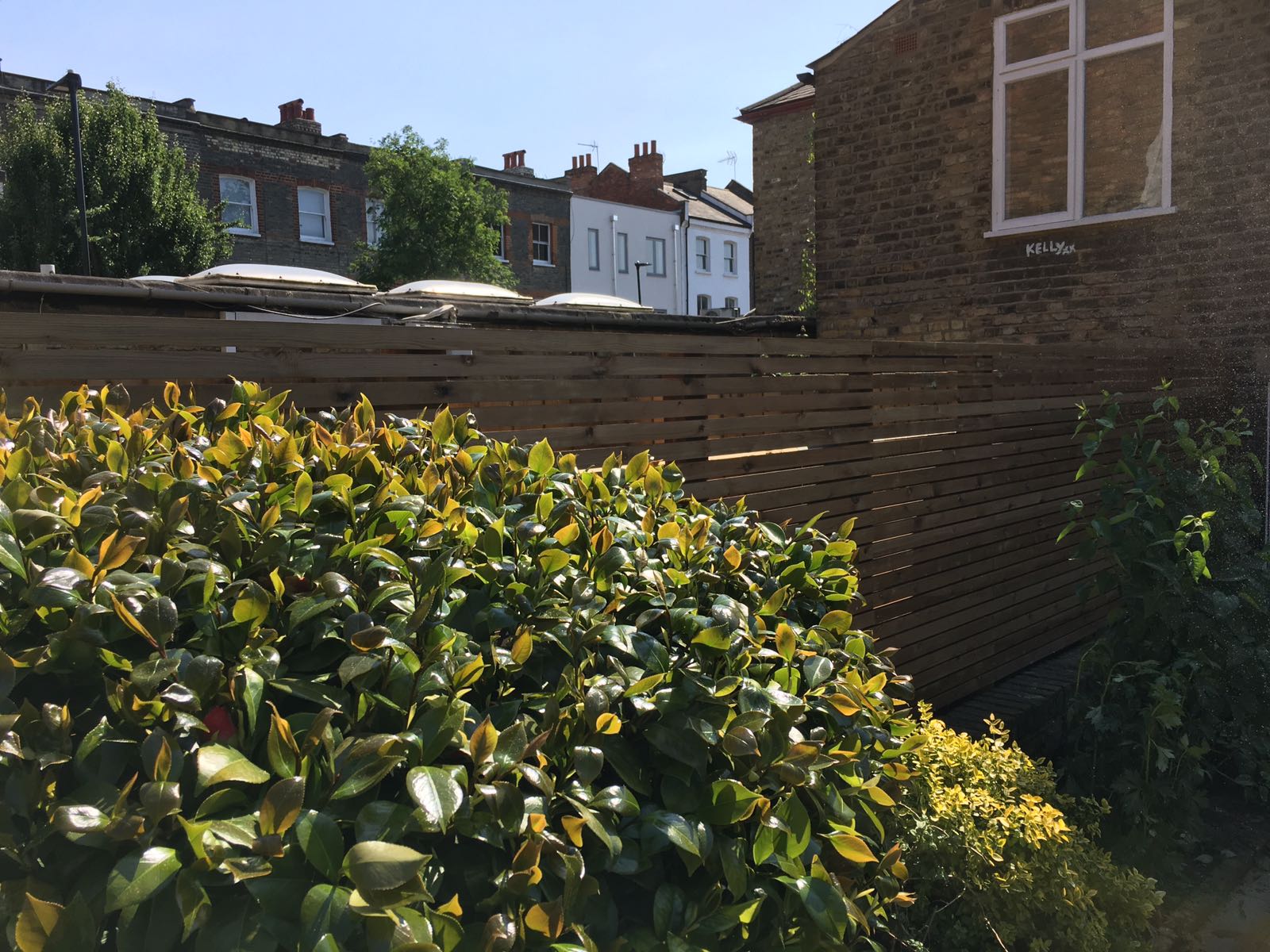 Contemporary Fencing in Hackney