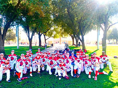Desert Bees at Civic Center 2021.jpg