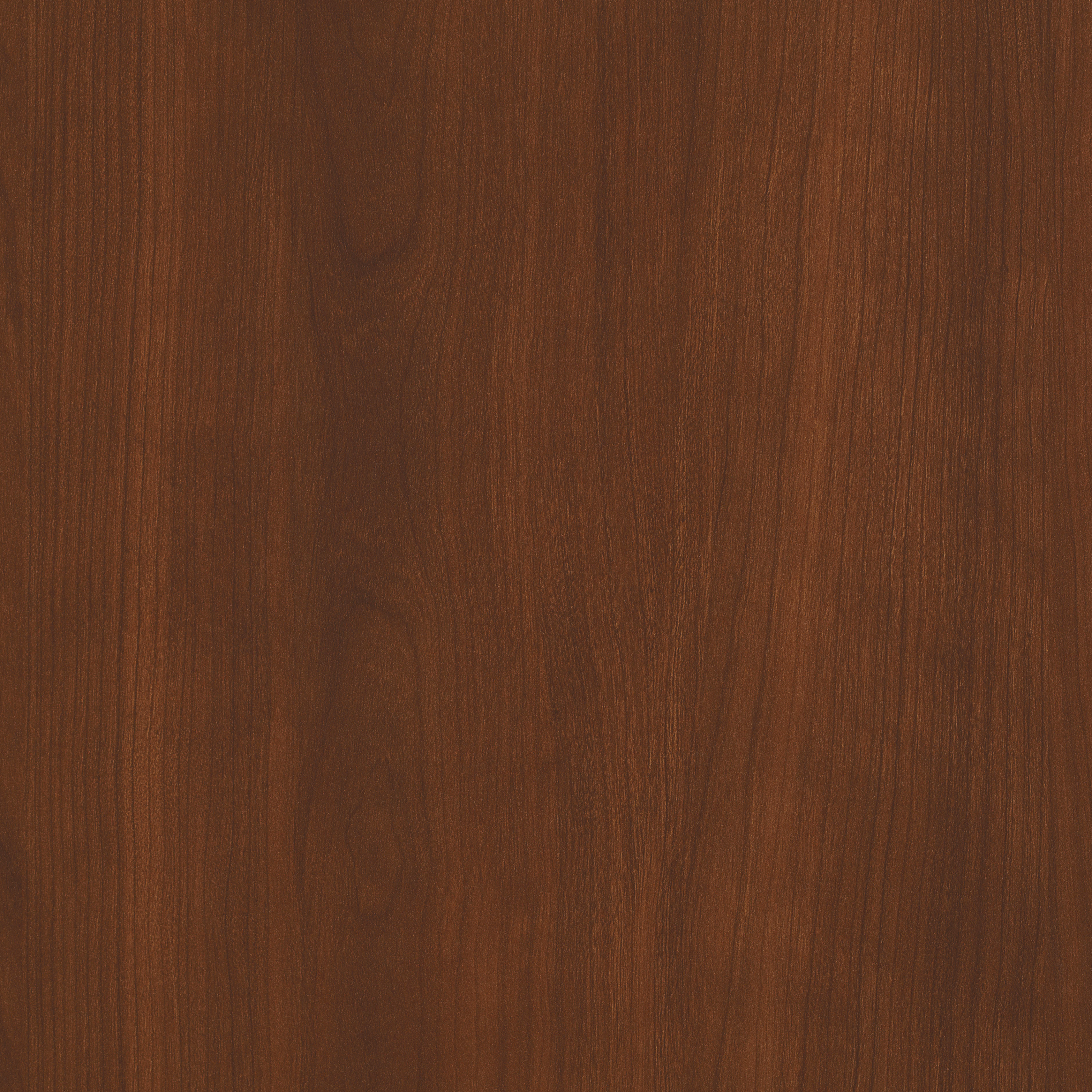 L473(C) Dark Rum Cherry