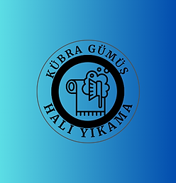 Halı Yıkamada S S S