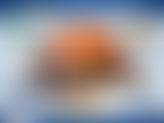 Packers and Movers in Delhi - Charges