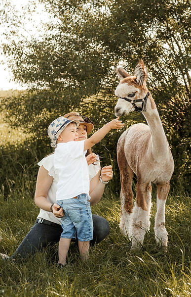 Alpakashooting Ansbach