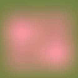 Cannabis Public Education Survey Results