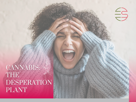 Misjudged and Misunderstood: The Truth Behind the Desperation Plant