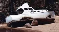 gi_ssminnow.jpg
