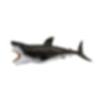 Miniatura: Tiburón - 582 (MEGALODON)