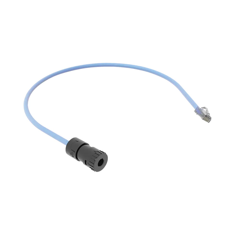 Cable de Conexión en Campo Jack a Plug RJ45, Categoría 6A, CMP (Plenum), 0.5 Metros, Color Azul