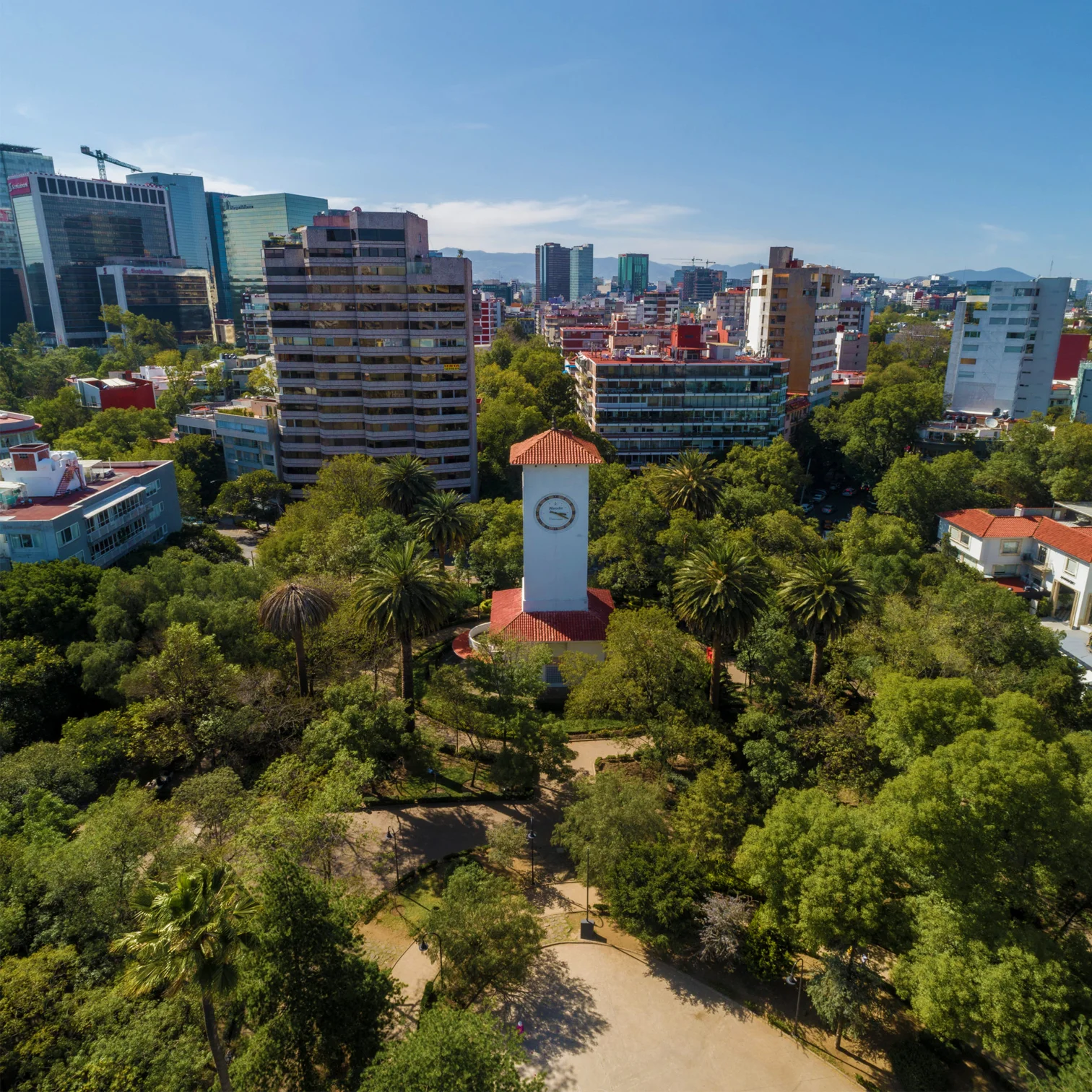 Un Día en el Parque Lincoln