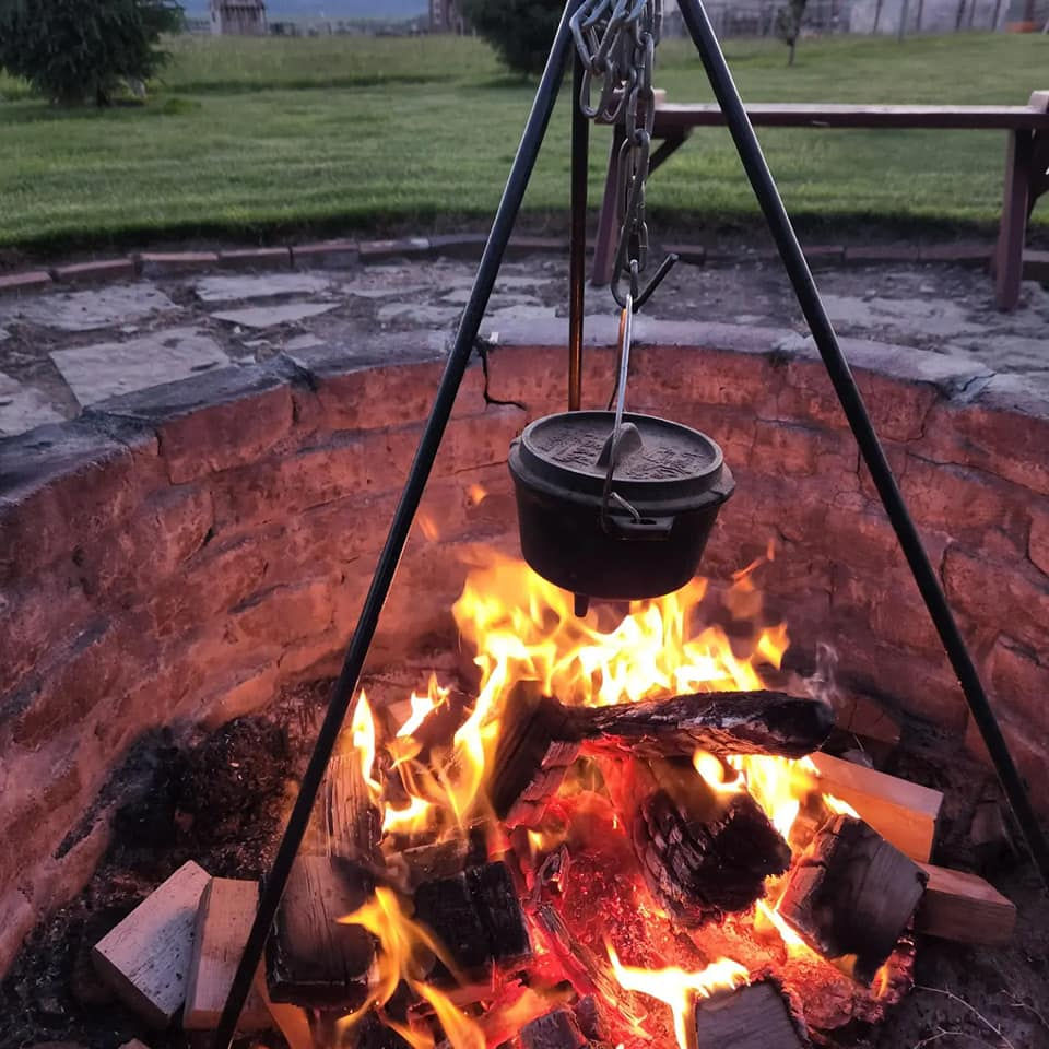 Join us in the backyard