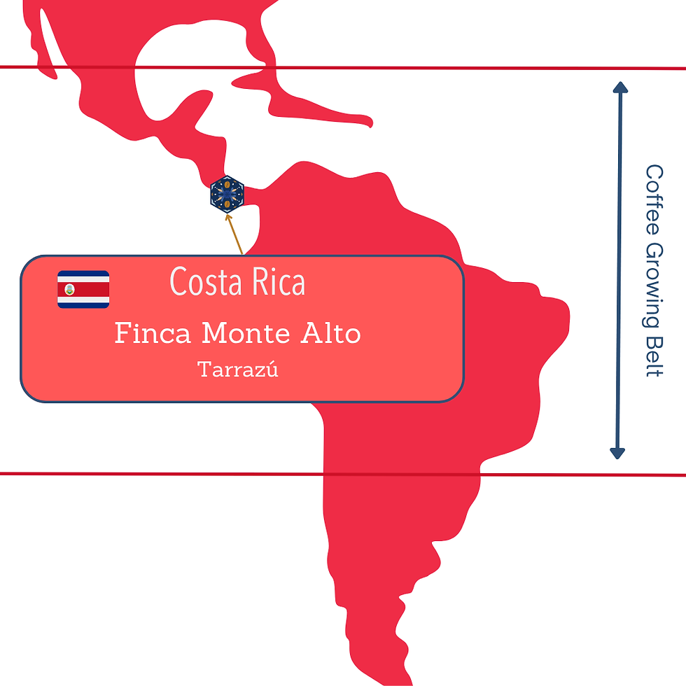 Thumbnail: Costa Rica - Finca Monte Alto