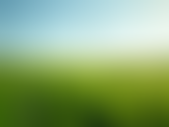 Sustainable Development in Commodity Trading with Demerion