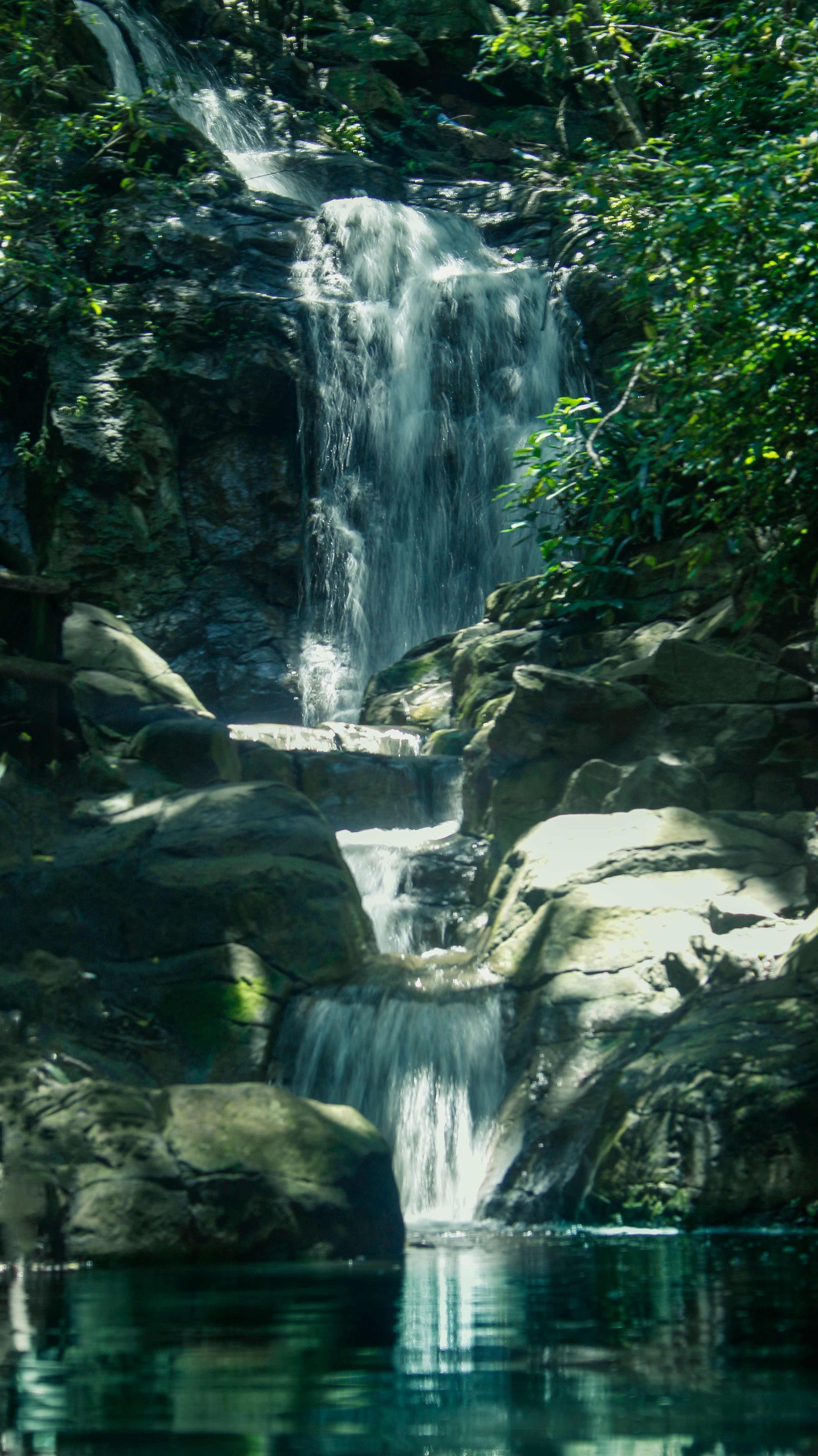 Botanical Gardens Waterfalls