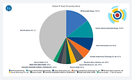 Global IP Asset Ownership.png