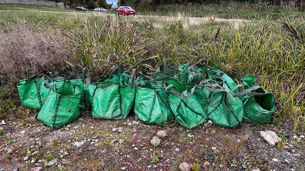 more green bags ... we've been working very hard