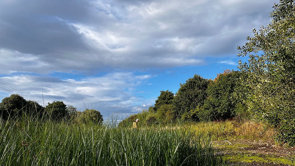 "I'd like to call back summertime and have her stay for just another month or so / But she's got the urge for going so I guess she'll have to go." Joni Mitchell
