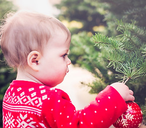 Toddler in Christmas Tree Farm