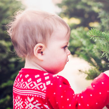 Kleinkind in Christmas Tree Farm
