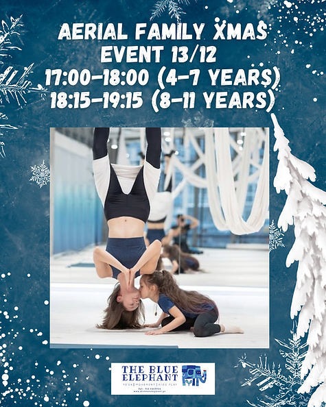 aerial family xmas (3).png