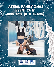 aerial family xmas (2).png