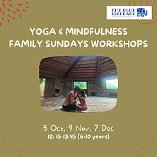 yin & restorative yoga (3).png