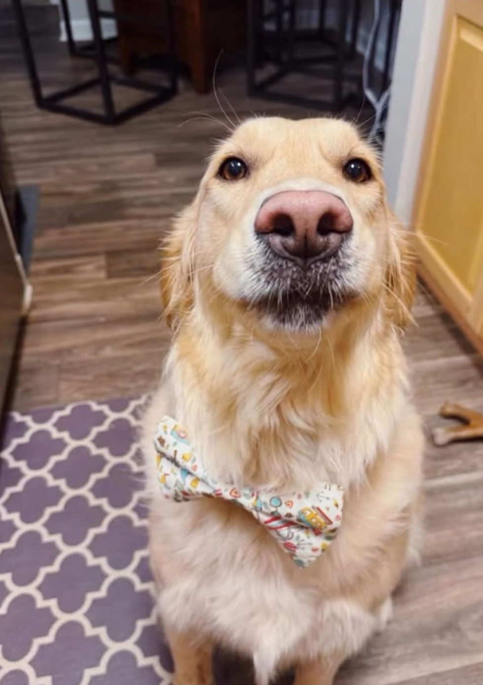 Thumbnail: Oshie Sock it to me 