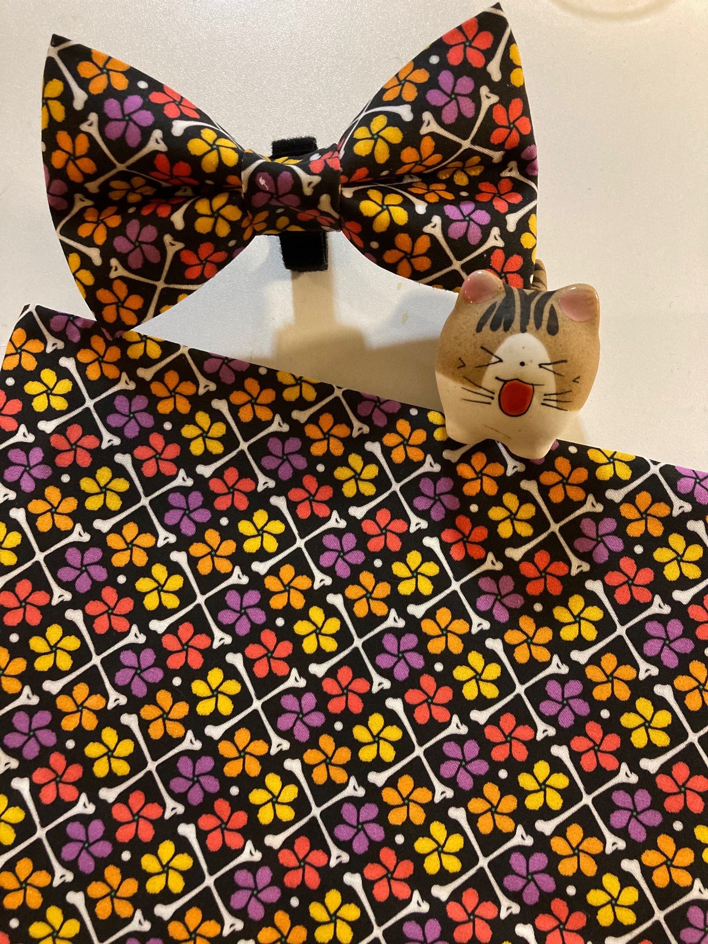 Maevis the FIP Warrior: Bonafide Purrmeria