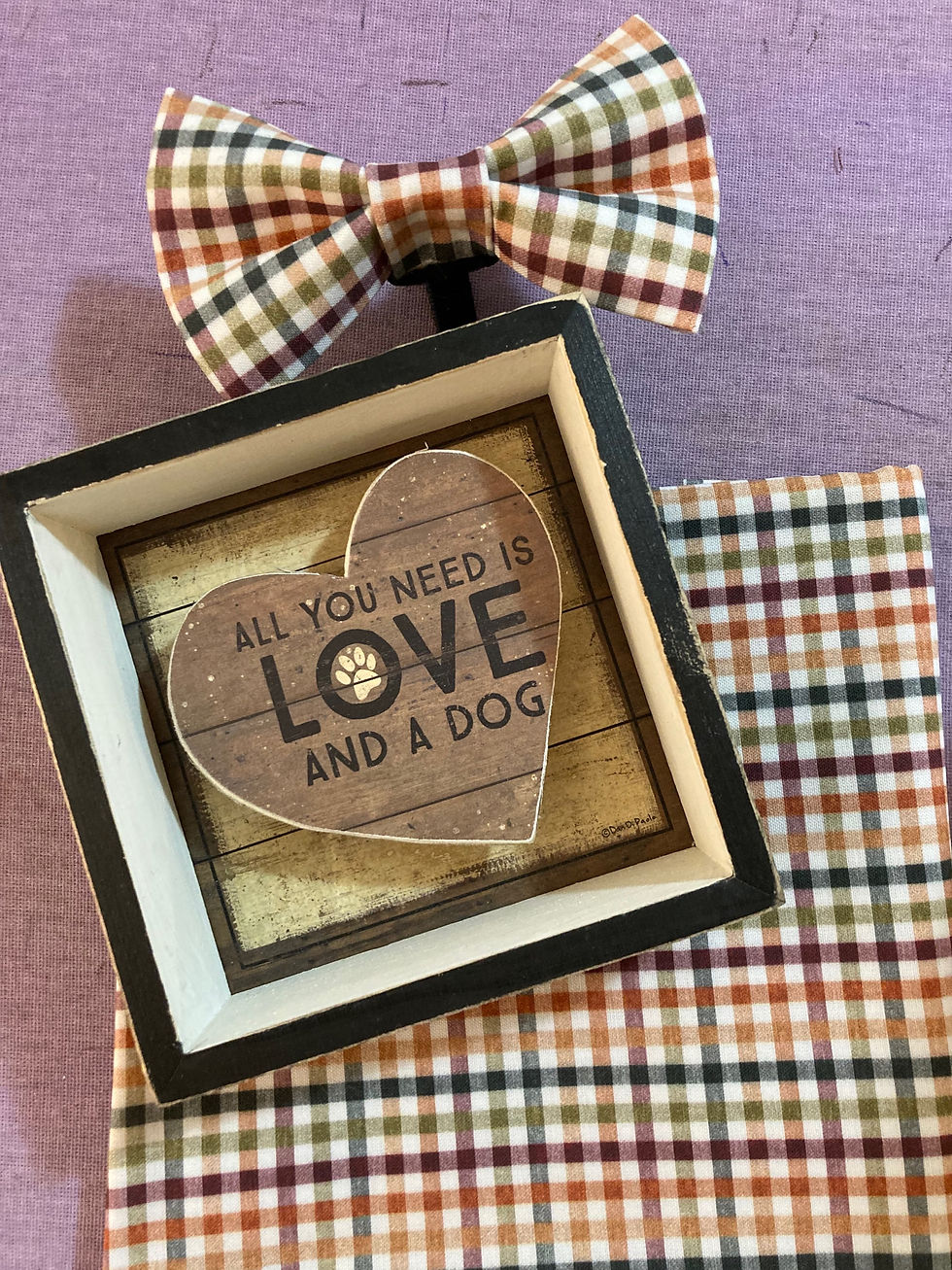 LovePaws Dyson (Lovepaws PG adoptable)