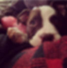 Thumbnail: Minnie (Bug)