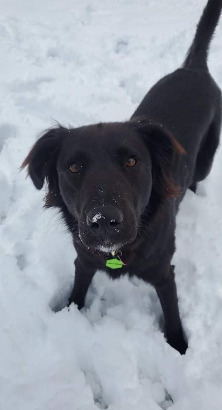 Thumbnail: Duke Caboom