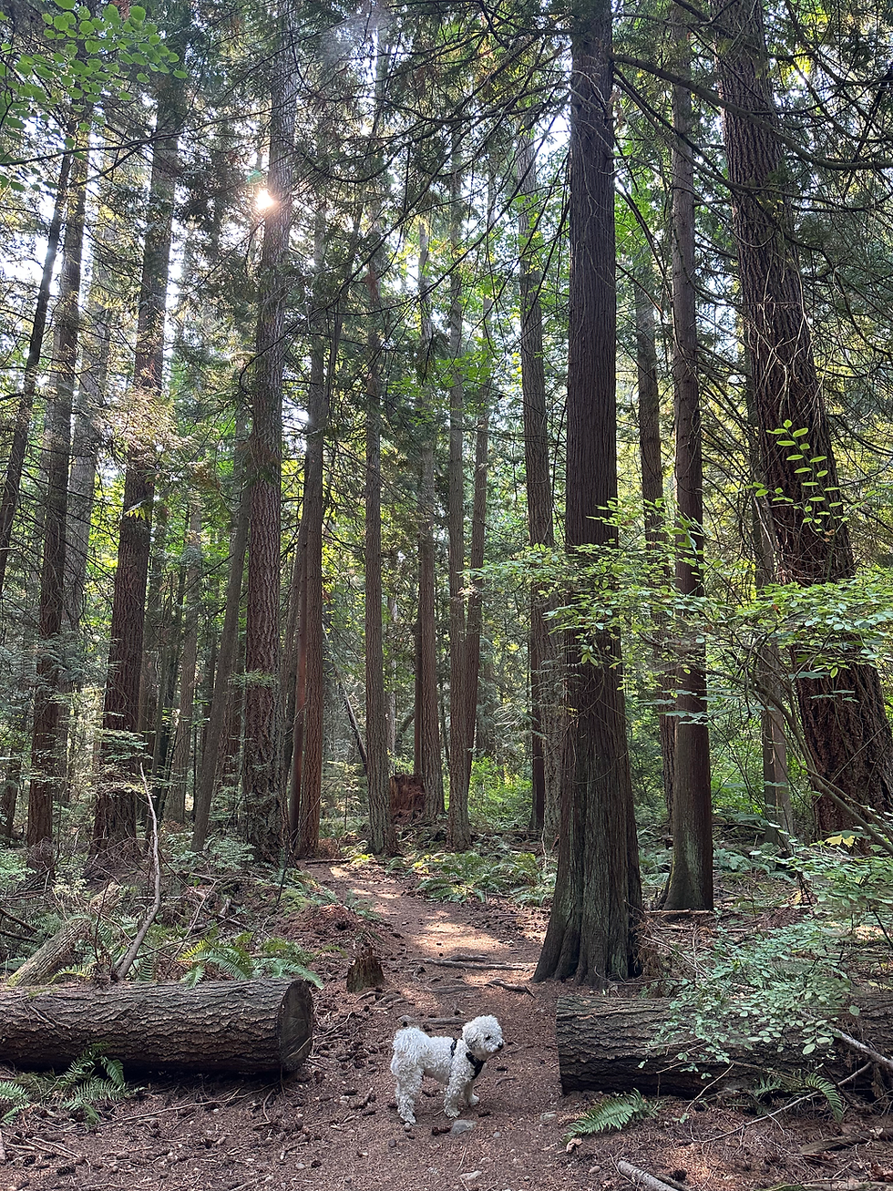 Nature is always a place to just be.