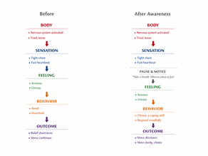 Before → After Awareness comparison