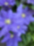 IMG_03.jpeg