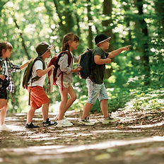 A group walking together on a forest trail surrounded by trees.