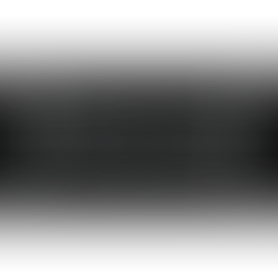 Interview to TERRESTRIAL BLIGHT (Sweden)