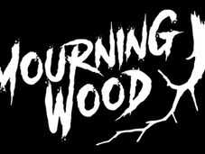 Interview to MOURNING WOOD (Finland)