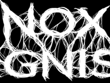 Interview NOX IGNIS (Australia)