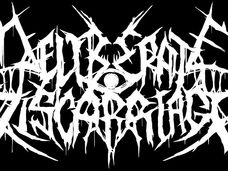 Interview DELIBERATE MISCARRIAGE (UK)
