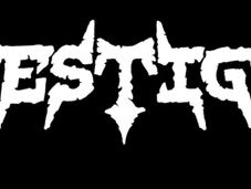 Interview VESTIGE (USA)
