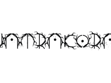 Interview to WATRAKORA (Poland)