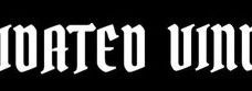 Interview KONSOLIDATED VINDIKATOR (USA)