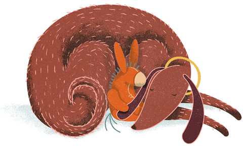 Illustration of a sleeping dog hugging a small donkey toy.