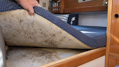 Mouldy boat cushion on a sailboat