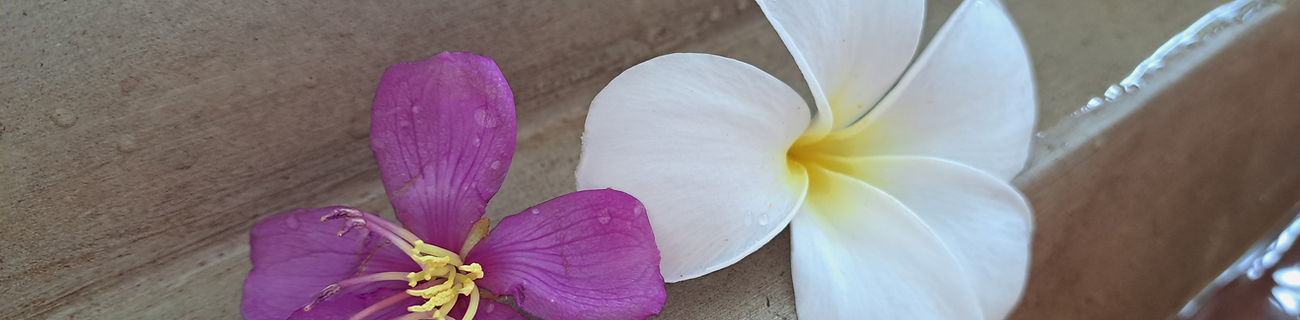 20241012_113729 (1).jpg