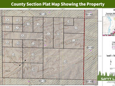 County Section Plat Map Showing the Property.jpeg