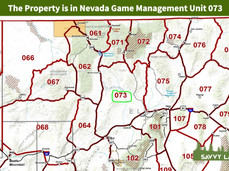 The Property is in Nevada Game Management Unit 073.jpeg