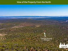 View of the Property From the North.jpeg