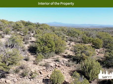 Interior of the Property.jpeg