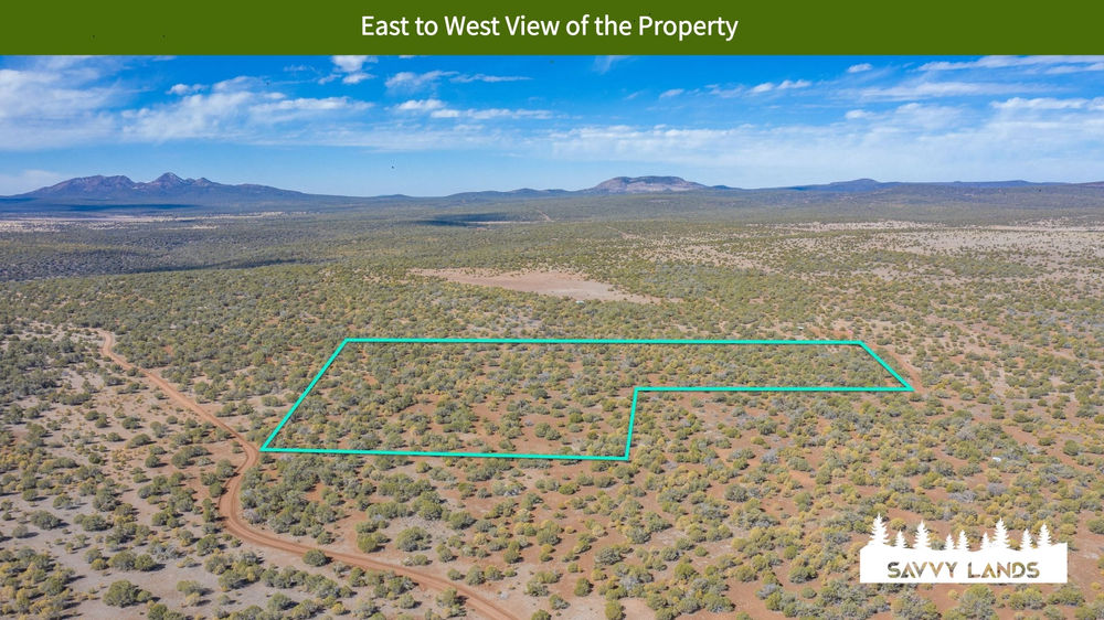 Elk Hunting Land in Arizona!